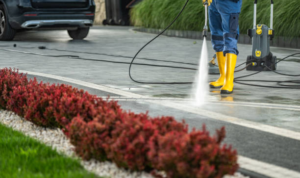 Best Roof Pressure Washing  in Bethlehem Village, CT